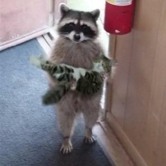 My son...he's very sick