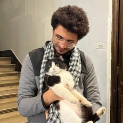 Abdelrahman A. Al Shahat