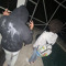 younginfrmthe561