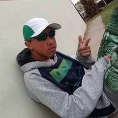 Luiz Goulart