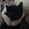 5mewmet
