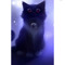 -коты~_~ топ-#
