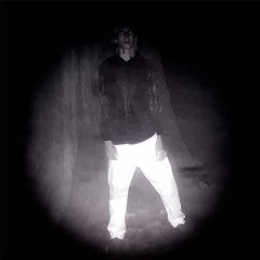 tenflower wasn't real 5