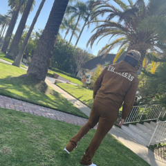 $plashy