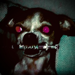 CannibalVultureRegurgitationDisembowelment