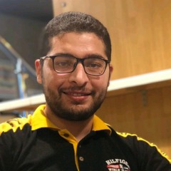 mohamed mansour