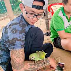 Đinh Hoà
