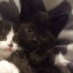 амбассадор альцгеймера