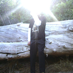 ameer