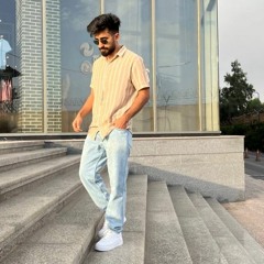 Mehdi Max