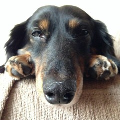 monty