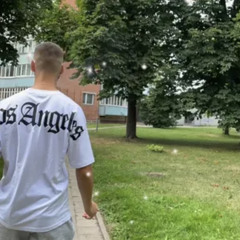 skr3n2