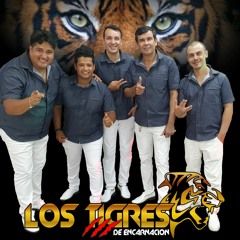 Stream Bloque Bronco Baladas-Los Tigre's (en vivo) 2020.mp3 by 𝔏𝔬𝔰  𝔗𝔦𝔤𝔯𝔢𝔰 𝔡𝔢 𝔈𝔫𝔠𝔞𝔯𝔫𝔞𝔠𝔦ó𝔫🐅 | Listen online for free on  SoundCloud