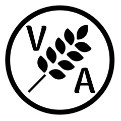 VILLAGE AUDIO