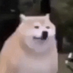 Schbooc