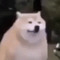 Schbooc