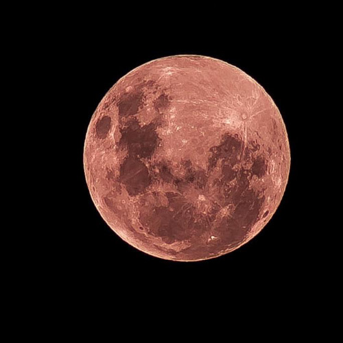 New private playlist