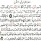 أحمد الخواجه