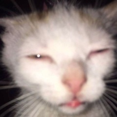 𝓥𝓵𝓪𝓭𝓪