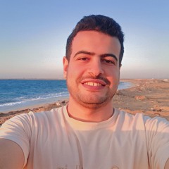 Mahmoud Shahen