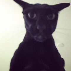 goopysloopy