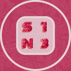 S1N3