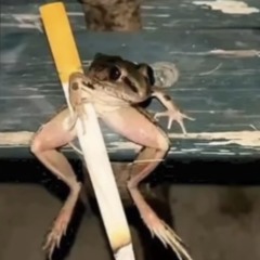 S4nto33
