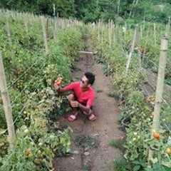 Rusdy Pora