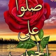 عبده الشبراوي