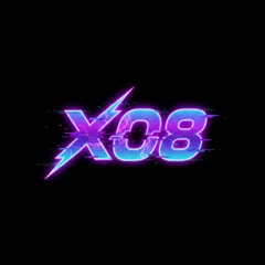 x08