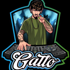 Gatto