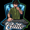 Gatto