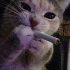 Dương bomm93