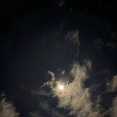 - بنت النُور🤎