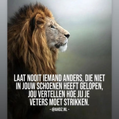 steeeeeef