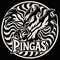 PINGAS ALKTEK6STEM
