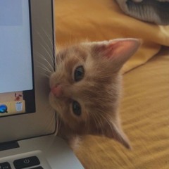 mimi