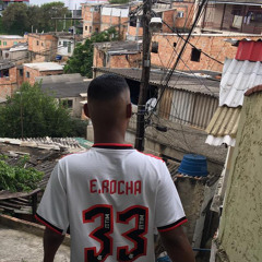 2d Rocha 🥋