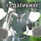 гомосексадрилл777