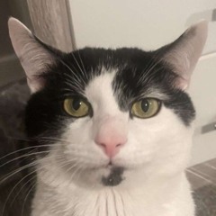carter the gyat