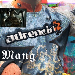 Mang