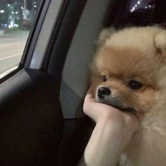 납요