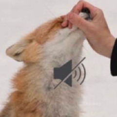 shhh.,,.,,.. :x
