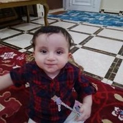ابويوسف حامد