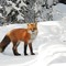 Sleeping-fox87
