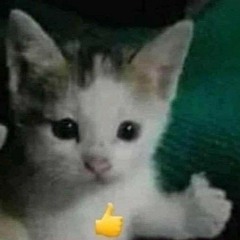 UnknownBoi199