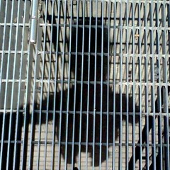 Lightwell Busk
