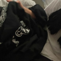 (∪.∪ )...Zzz
