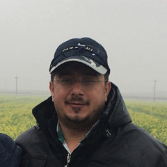 sajjad imanzadeh