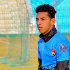 hossam hassan